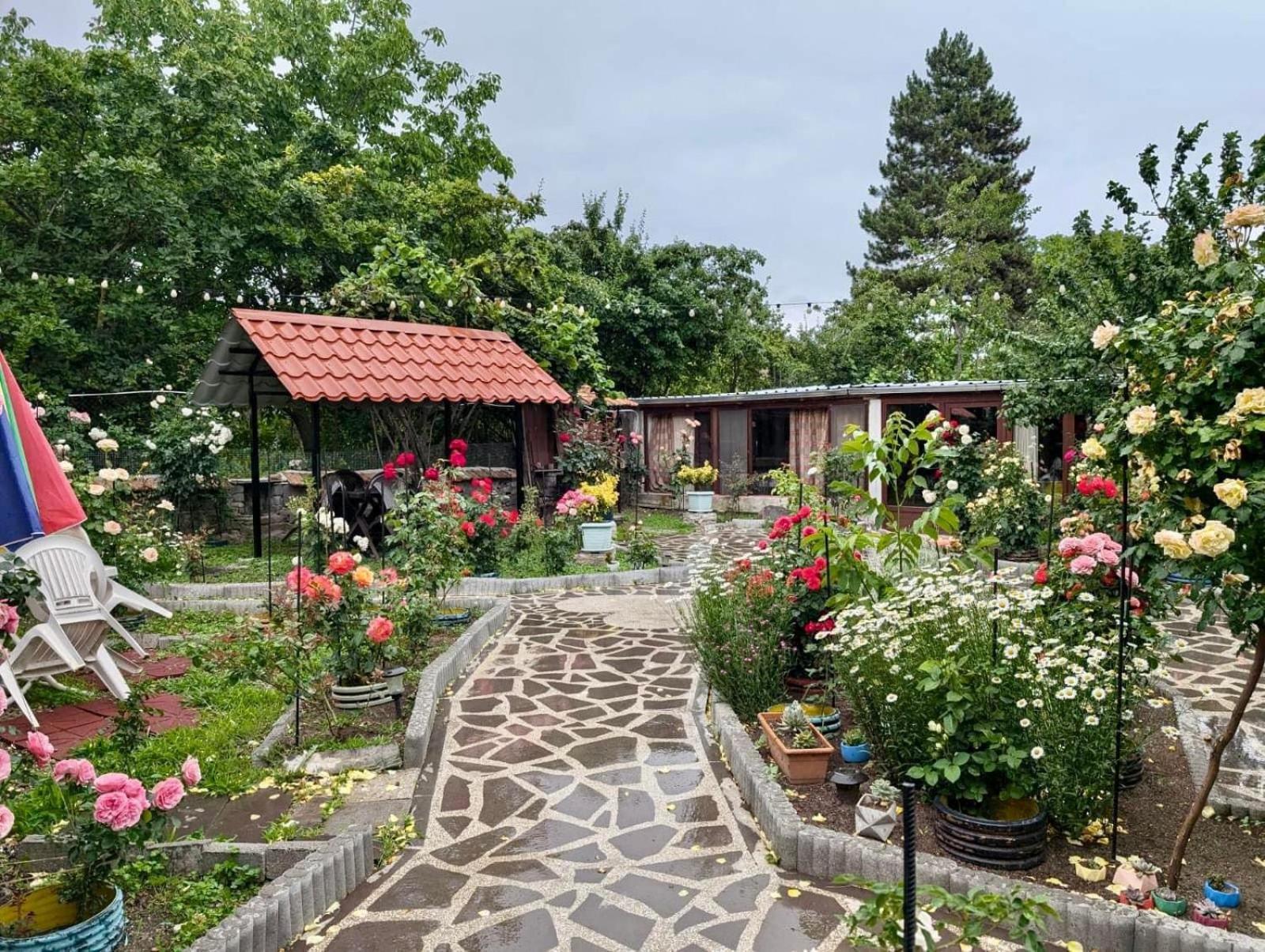 Artist'S House Hotel Tetritskaro Kültér fotó